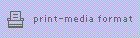 print-media format