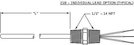 21B